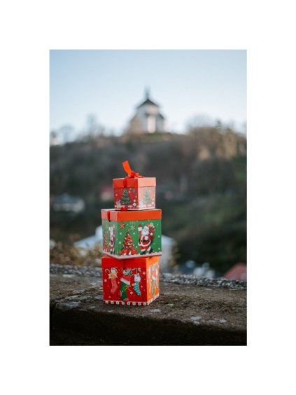 Darčekové vianočné balenie s mašličkou (náhodný motív)