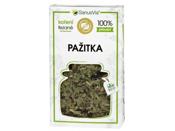 pazitka