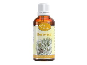 borovica