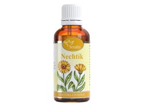 nechtik