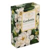 gardenia