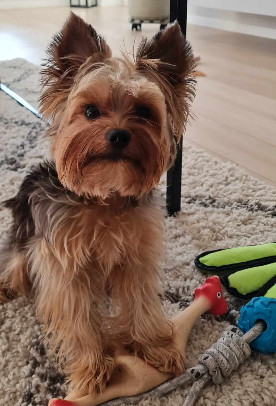 427786392_375147431819075_7128896258245302539_n_1