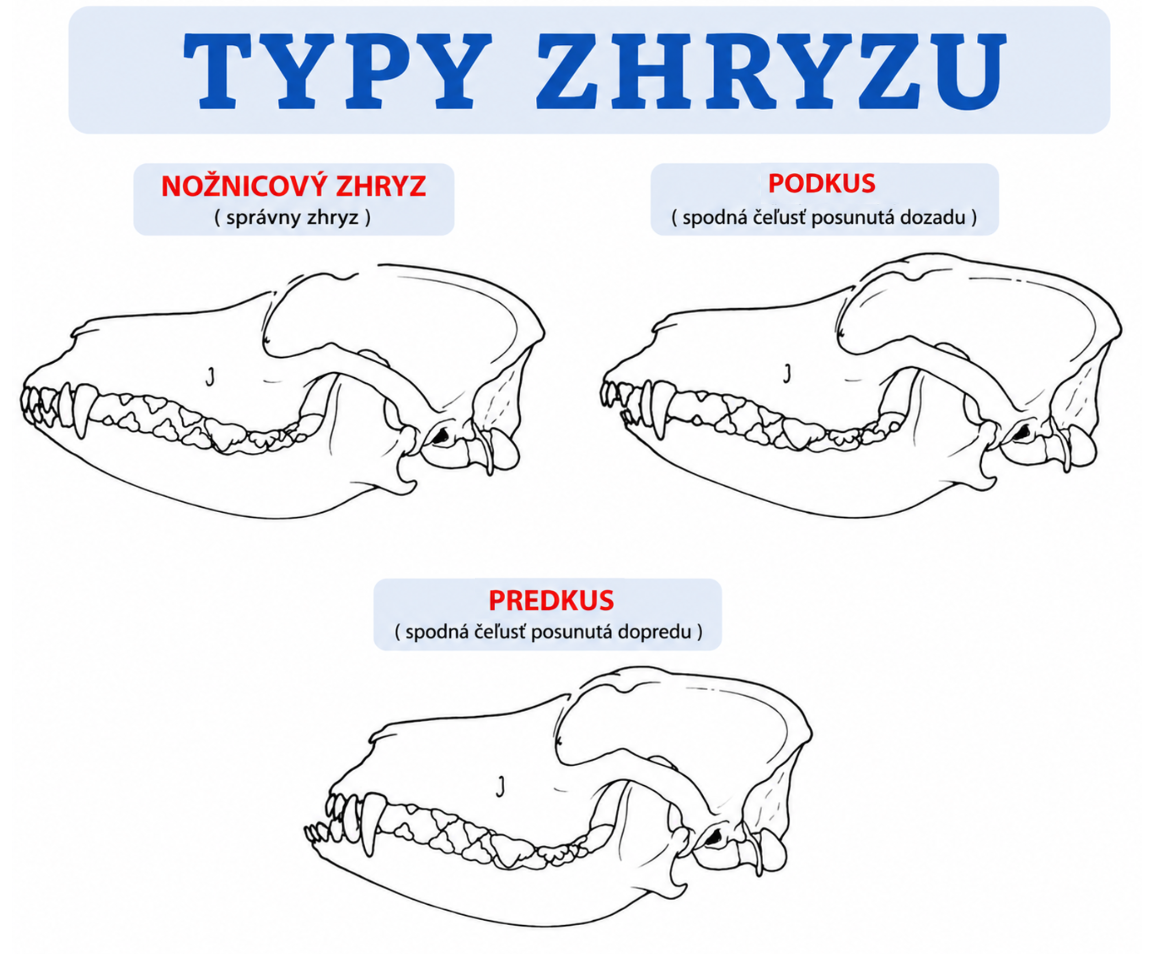 zhryz