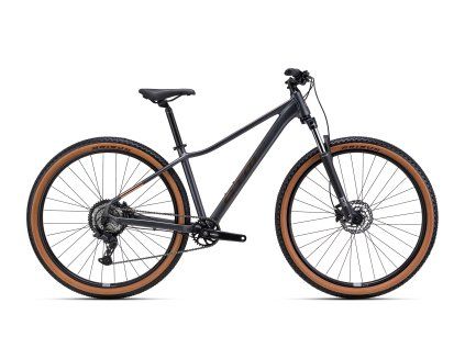 CTM CHARISMA 1.0 29" M , antracit/mat