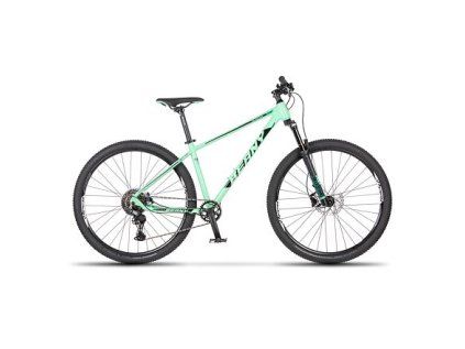 BEANY BLASTER 29" rám 19" mint