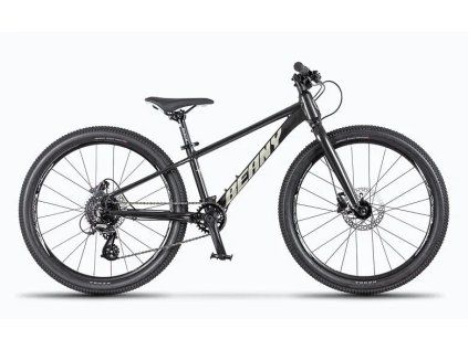 BEANY BLASTER XC 24" rám 11" black