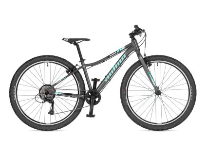 AUTHOR Limit 27,5 2025 (Velikost 14", Barva stříbrná/zelená)