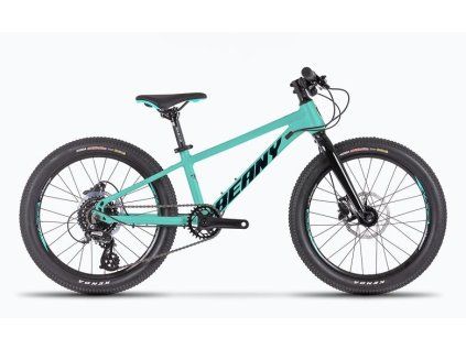 BEANY BLASTER XC 24" rám 11" mint