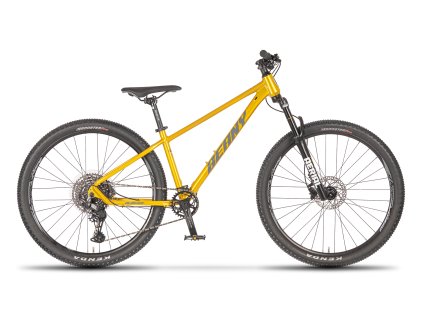 BEANY BLASTER 27,5 gold