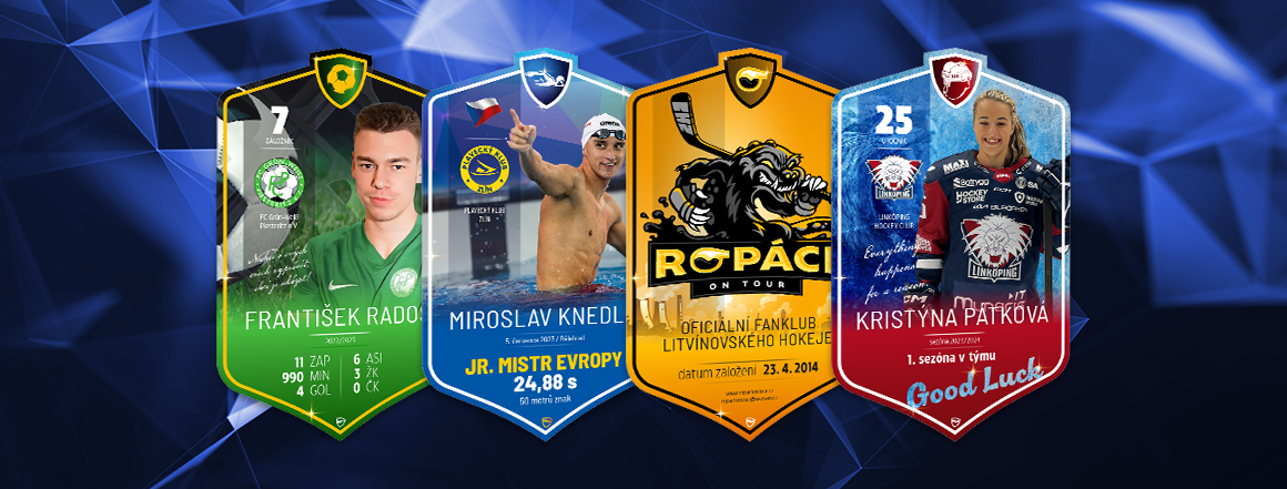 Hokej plavání desktop