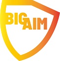 Big AIm Board