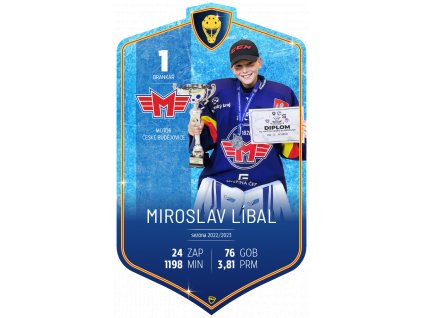 BigAim MCB Libal 1