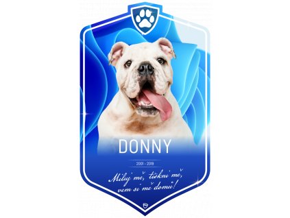 BA DOGz vyvoj 4