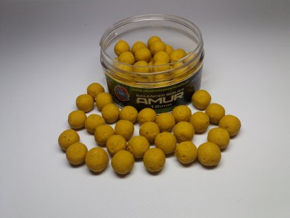 Splashbaits balanced boilie Amur Ořech-Vanilka