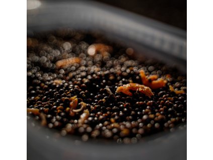 Munch Baits Hemp & Krill Particles 2kg 1