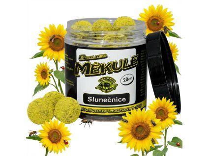 downloaded file (30)