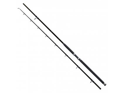 Giants fishing sumcový prut Deluxe Catfish 2,4m 400g