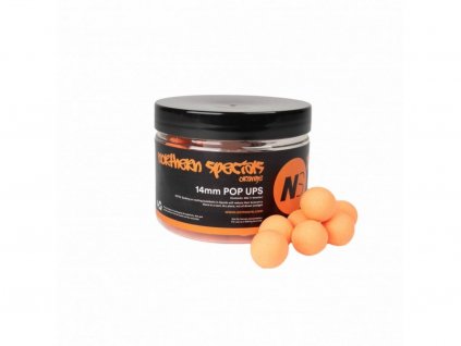 CC Moore pop up NS1 Orange