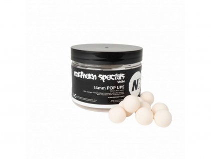 CC Moore pop up NS1 White