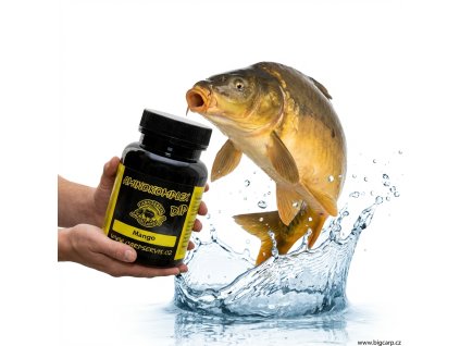 CSV Aminokomplex Dip Mango 90ml 1