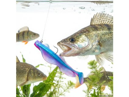 downloaded file (11)