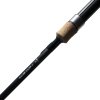 Giants fishing kaprový prut Gaube FC 10ft 3lb