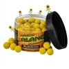 Carp Servis Václavík boilies Balanc Feeder Slunečnice 12mm 80g (10)
