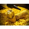 LK Baits kukuřičné pelety Corn Pellets 1kg