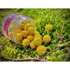 LK Baits boilies Fish Activ Plus World Rerord Corn 200ml 3