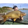 Chytil boilies Pandemia 20mm 100g