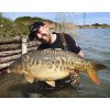 Chytil boilies Pandemia 20mm 100g