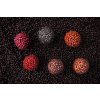 Chytil boilies Pandemia 16mm 100g