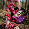 CCT Master plovoucí boilie Simple Pop Ups Squid Cranberry 12mm 25g