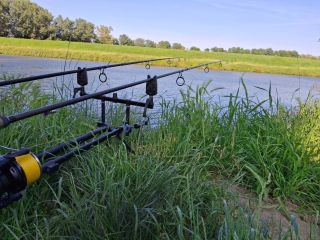 No není ten pátek 13 super? 😁🐟🎣 #bigcarpcz #bystricenarybach #pribehmalehosefa #patek13 #commoncarp #lovnarece...