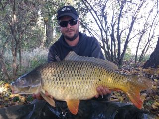 🎣🎣🎣Big Carp history🎣🎣🎣 🐟 🐟 🐟 #bigcarp #bigcarphistory #lovnarece #monstercarp #carpfoto