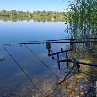 Závod máme u konce a teď rychle na vyhlášení. 🎣 #bigcarpcz #zemnikbodovka #commoncarp #rybarimeslaskou #relaxday