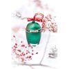 vianocne ozdoby big green egg (1)