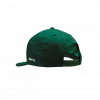 siltovka zelena s logom big green egg
