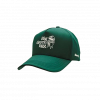 siltovka zelena s logom big green egg