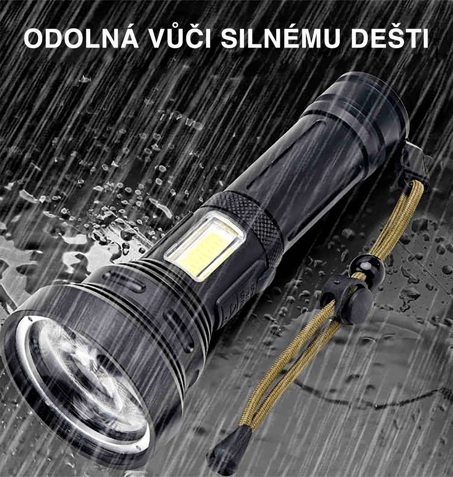file10-CZ