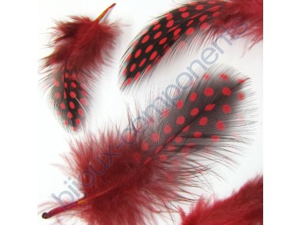feather 1 red v