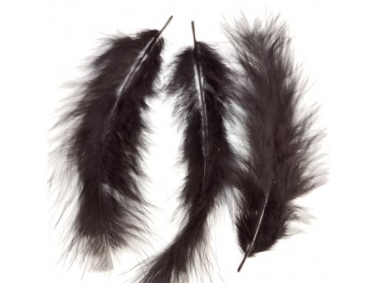 feather blk