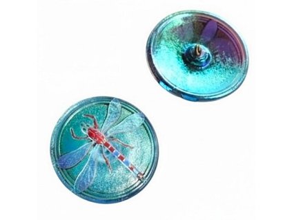 modrý knoflík s vážkou