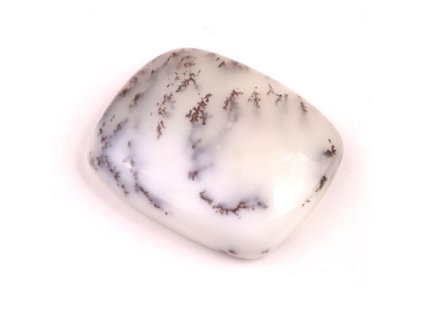 kaboson dendrite opal c846 32x27x8mm 10,43