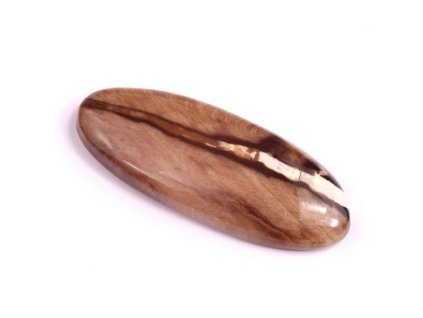 kaboson palm root jasper c1597 39x15x6mm 5,73g