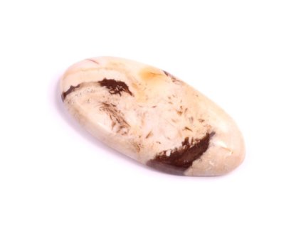 kaboson palm root jasper c1612 39x18x6mm 6,45g