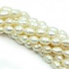Říční perly (oválné) - cca 7-10 x 7 mm, bílé