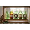 uran korenky transparent lifestyle