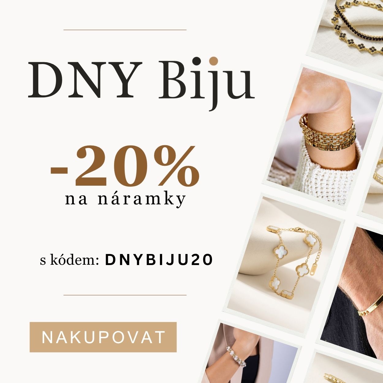 dny biju