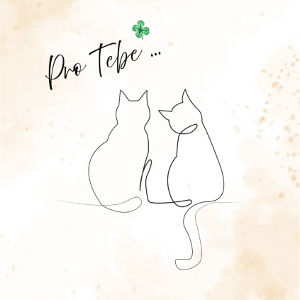 Dárková kartička s textem "Pro Tebe..." K20